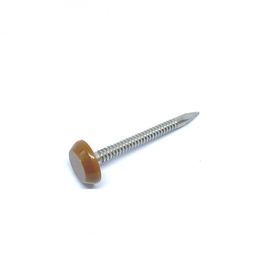 Clavos principales plásticos de acero inoxidables A4