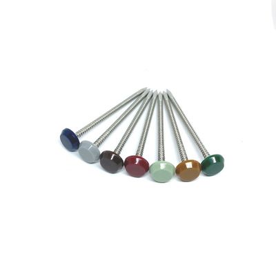 316 pulidos Ring Shank Plastic Head Nails de acero inoxidable