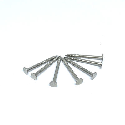 1.6X19M M Ring Shank 316 clavos principales planos de acero inoxidables