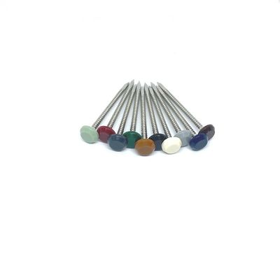 La cabeza plástica de acero inoxidable del establo ULTRAVIOLETA A4 clava la cabeza de nylon PA6
