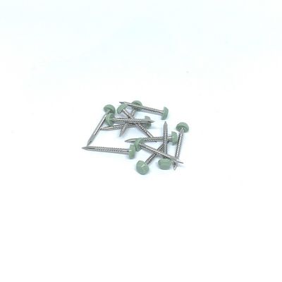 Placas anulares de Ring Nails For UPVC del punto del tiburón de SS316 25M M