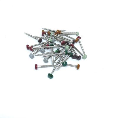 Acero anular de nylon 304L de PA6 Ring Plastic Headed Pins Stainless