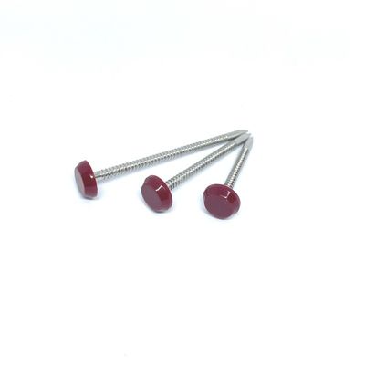 65M M A2 de acero inoxidable Ring Nails Nylon anular PA6