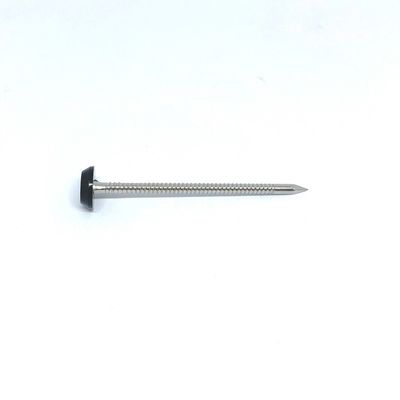 Clavos principales plásticos anillados de acero inoxidables para la construcción exterior