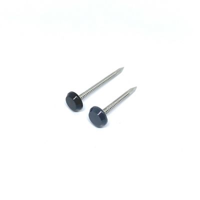 La cabeza plástica gris SUS316 clava con Ring Shank Shark Point anular