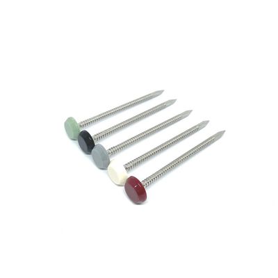 Clavos principales plásticos de nylon de la longitud de 65M M con la caña anillada