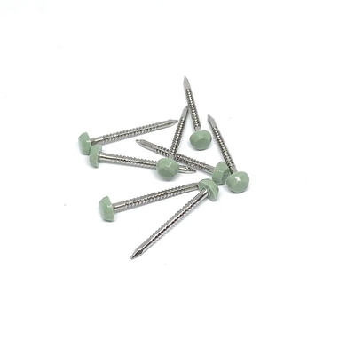 Acero inoxidable A2/A4 Ring Shank Plastic Head Nails 2.0X30m m