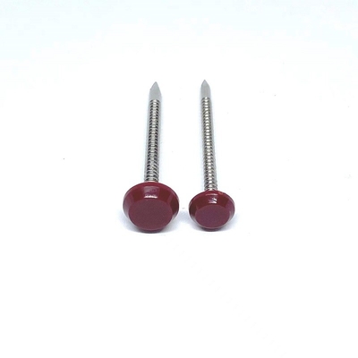 Ring Shank Plastic Head Nails para el acero inoxidable de la longitud A4 de la construcción 50m m