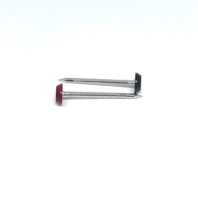 Ring Shank Plastic Head Nails anular para la techumbre 3.0X50M M