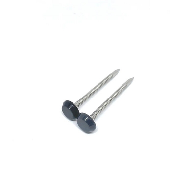Gris de antracita de acero inoxidable 50M M del negro de A4 Ring Shank Plastic Head Nails