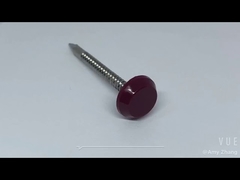 Clavo con cabeza de plástico de acero inoxidable